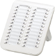 KX-DT590W